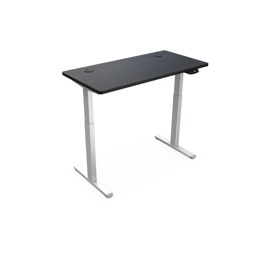 Standing Desk / Base Dual Motor Pro