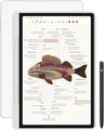 XPPen Magic Note Pad (11")