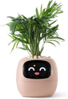 Plantagochi