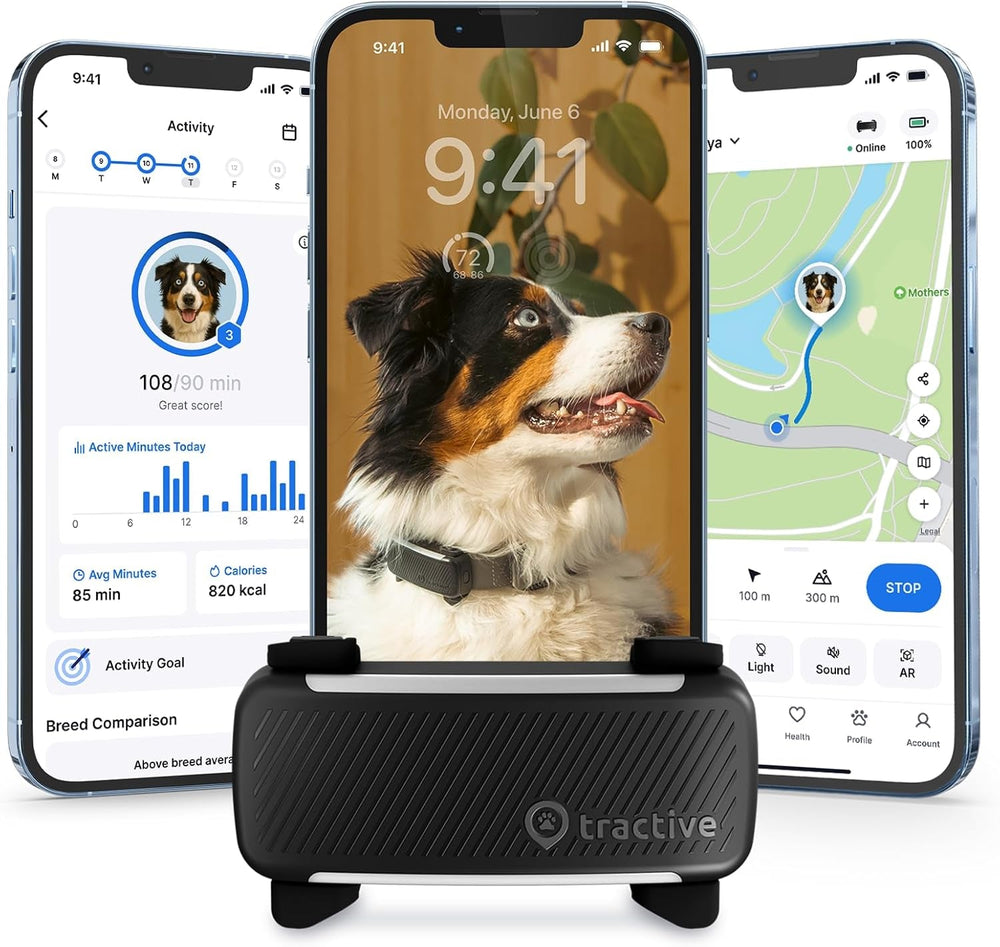 Collar GPS Tractive: Localizador y Salud Animal