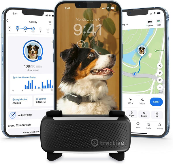Tractive GPS Collar: Animal Tracker and Health Monitor