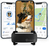 Collar GPS Tractive: Localizador y Salud Animal