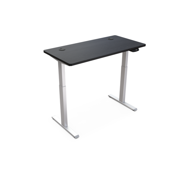 Standing Desk / Base Dual Motor Pro